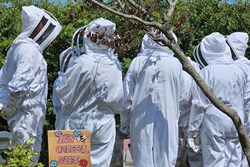 Bee-team-at-St-Mary-Mags-Gorle