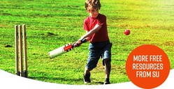 STICKS FOR STUMPS 2019A
