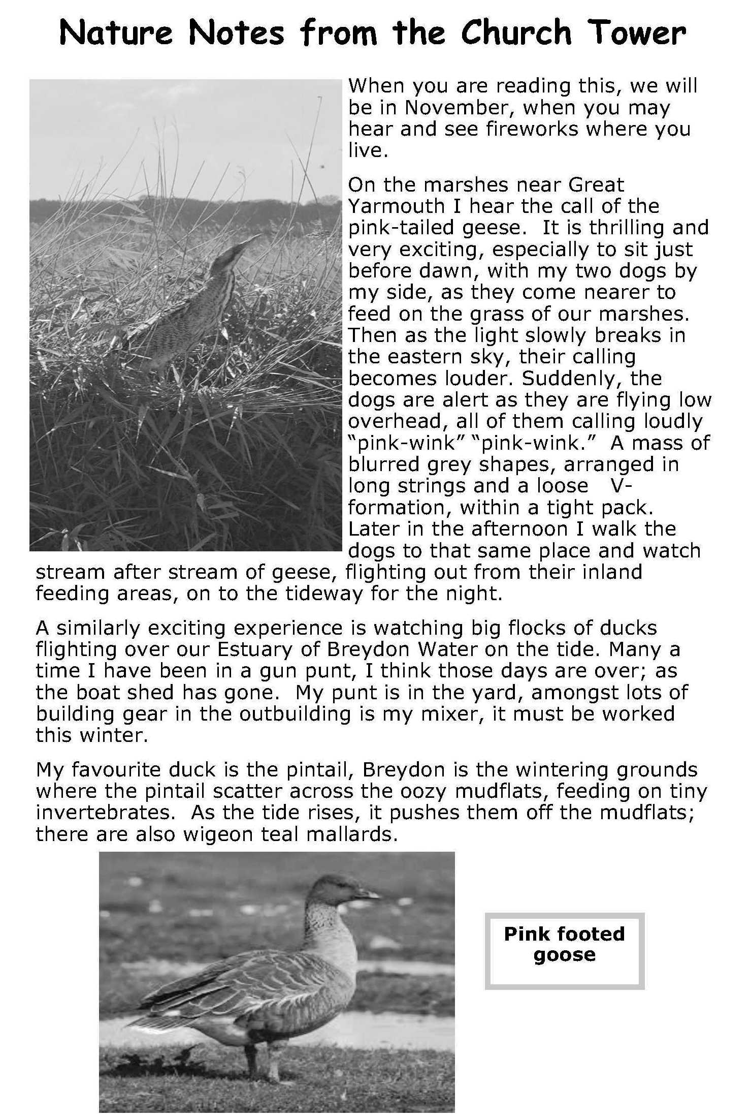 NATURE NOTES A 11-2025