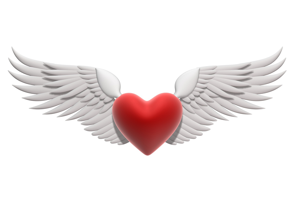 wings of love 2014