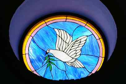 peace dove window