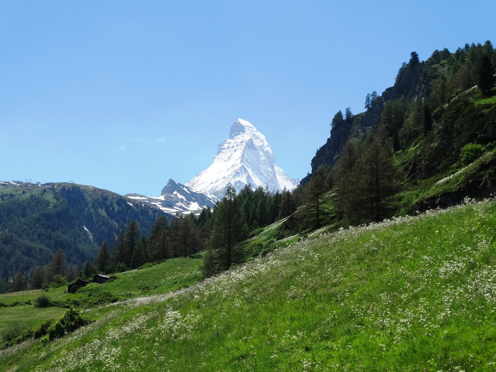 SWISS CHAPLAINCY 07-2019A